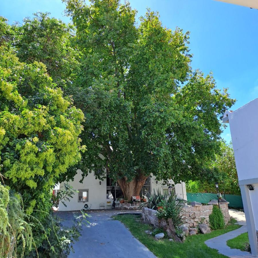 Posada Del Arbol Capilla del Monte Εξωτερικό φωτογραφία