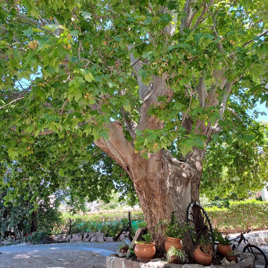 Posada Del Arbol Capilla del Monte Εξωτερικό φωτογραφία
